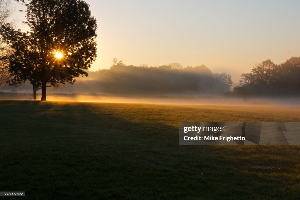 Misty Morning
