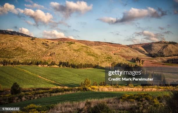 Giladi Giladi Photos and Premium High Res Pictures - Getty Images