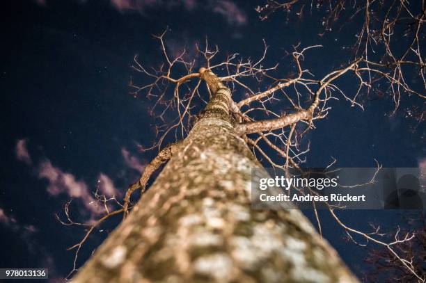 sternenhimmel in berlin selten - sternenhimmel stock pictures, royalty-free photos & images