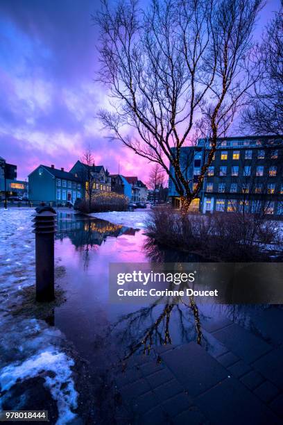 reykjavik en couleur - or couleur fotografías e imágenes de stock