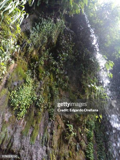 caida de agua. - orellana fotografías e imágenes de stock