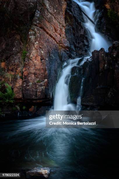 upper falls mac kenzie falls - bertolazzi photos et images de collection