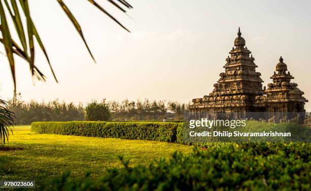 shore temple garden landscape, chennai, tamilnadu, india - tamil nadu stockfoto's en -beelden