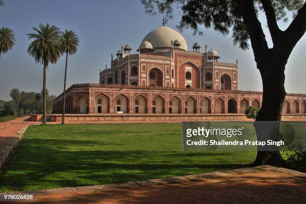 humayun's tomb - shailendra singh stock pictures, royalty-free photos & images