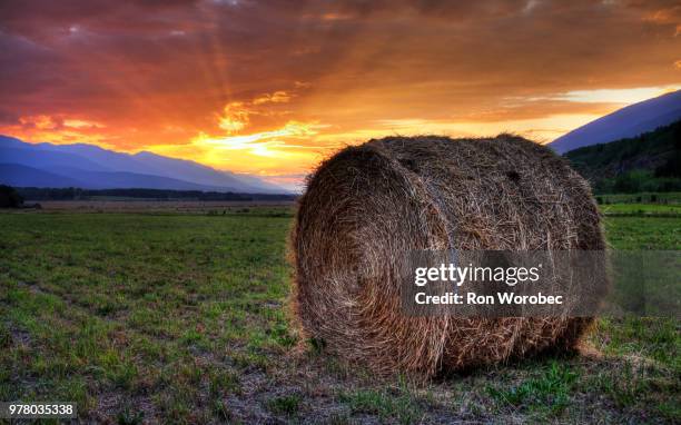 hay bay and sunset, cariboo mountains, canada - cariboo stock pictures, royalty-free photos & images