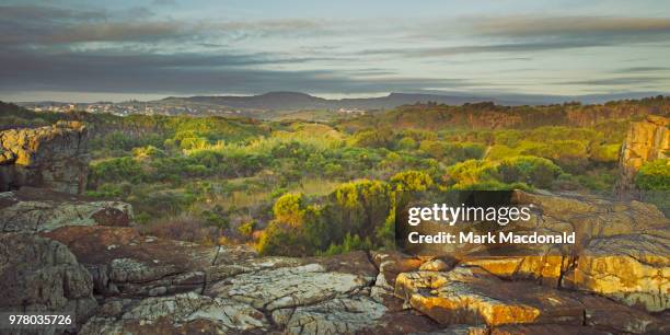 bombo headland - bombo stock pictures, royalty-free photos & images