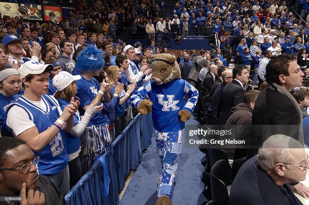 University of Kentucky Mascot