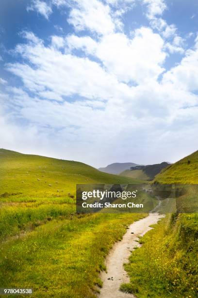 rural landscape with path, new zealand - new zealand connected fotografías e imágenes de stock