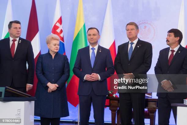 Latvian President Raimonds Vejonis, President of Lithuania Dalia Grybauskaite, Polish President Andrzej Duda, President of Romania Klaus Iohannis and...