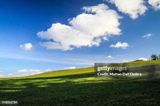 windows xp - ombra stock-fotos und bilder