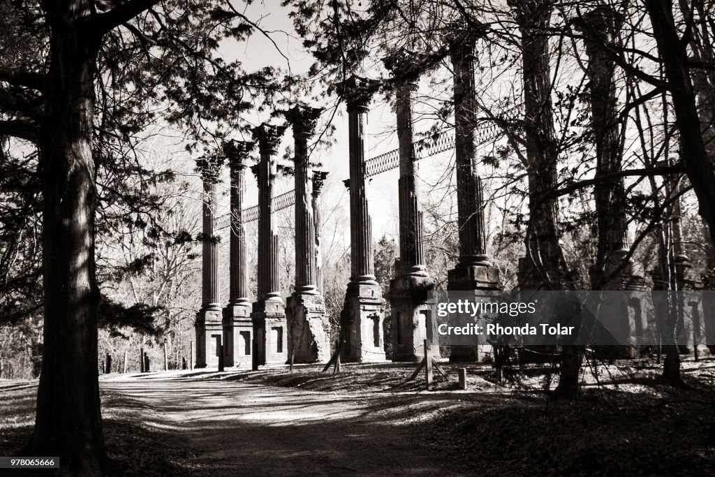 Natchez Trace in Windsor Ruins, Windsor Ruins, Mississippi, USA