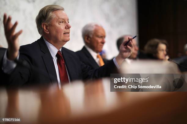 Senate Judiciary Committee member Sen. Lindsay Graham questions witnesses during a hearing about the Justice Department inspector general's report on...