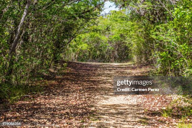 Guanica Lettering 93 Guanica Stock Photos, High-Res Pictures, and Images - Getty Images
