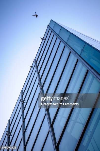 low angle view of office building - achim lammerts stock-fotos und bilder