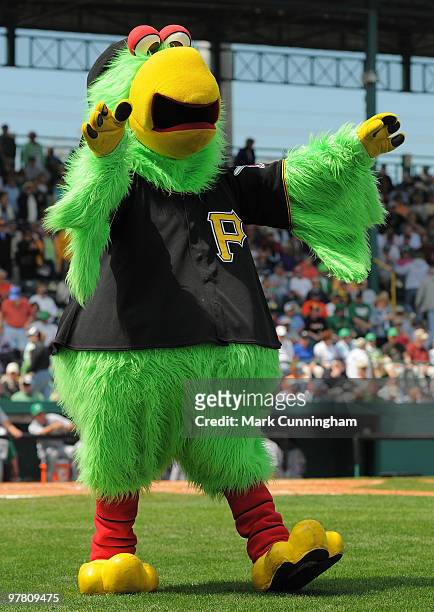 The Pittsburgh Pirates mascot Parrot entertains fans during the spring training game against the Detroit Tigers at McKechnie Field on March 17, 2010...