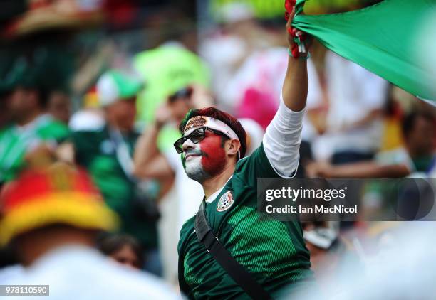 Mexico fans is seen during the 2018 FIFA World Cup Russia group F match between Germany and Mexico at Luzhniki Stadium on June 17, 2018 in Moscow,...