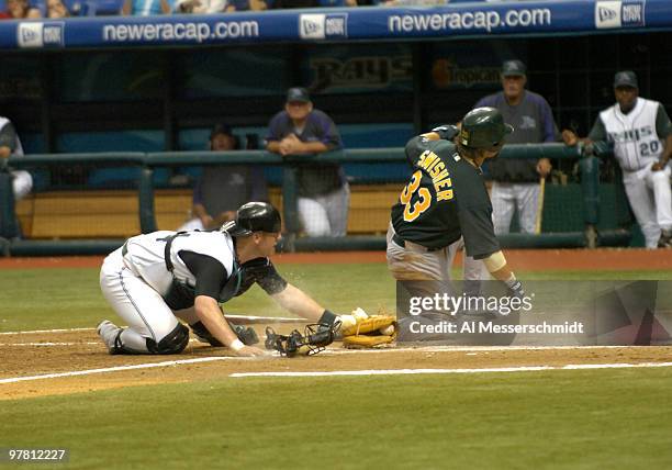 Tampa Bay Devil Rays fans tangles with third baseman Nick Green over a foul ball during play against the Oakland Athletics April 10, 2005 at...