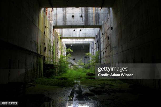 condenser hall - condenser stock pictures, royalty-free photos & images