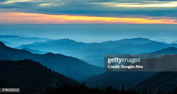 sequoia national park - sungjin ahn stock-fotos und bilder