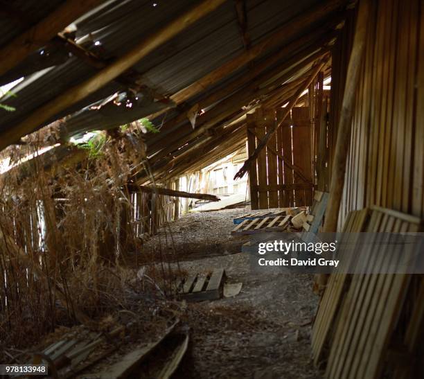inside shed - steel shed stock pictures, royalty-free photos & images
