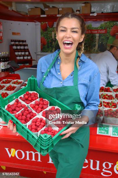 Sabia Boulahrouz during the charity sale of strawberries and raspberries of Erdbeerhof Glantz for 'Ein Herz für Kinder' at Klosterstern on June 18,...