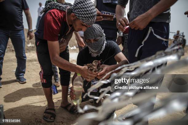 Dpatop - Palestinian protesters prepare kites with home made firebombs during clashes along the Israel-Gaza border, east of Gaza City, Gaza Strip, 20...