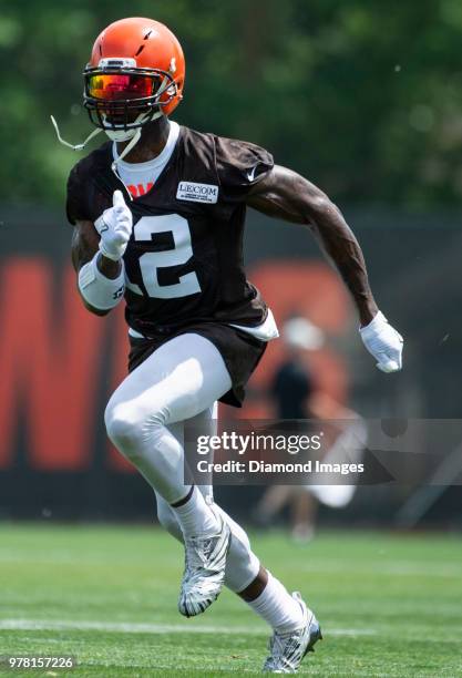 Wide receiver Josh Gordon of the Cleveland Browns runs a route during a mandatory mini camp on June 13, 2018 at the Cleveland Browns training...