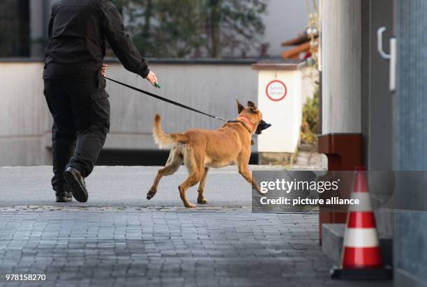 April 2018, Germany, Celle: A police dog sniffs out the area around trhe court where three suspected Al-Nusra Front members are on trial. The three...