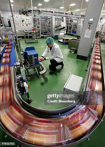 Packets of Catherdral City cheese move along the production line at the Dairy Crest factory in Nuneaton, U.K., on Wednesday, March 17, 2010. Dairy...