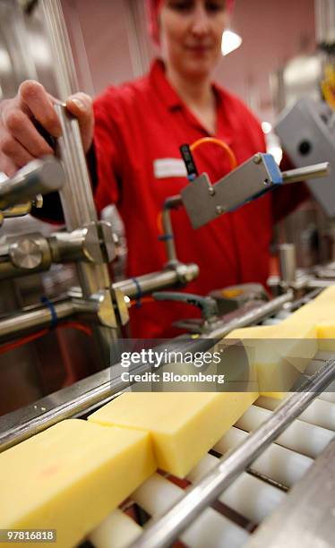 An employee monitors cheese on the production line at the Dairy Crest factory in Nuneaton, U.K., on Wednesday, March 17, 2010. Dairy Crest Group Plc...