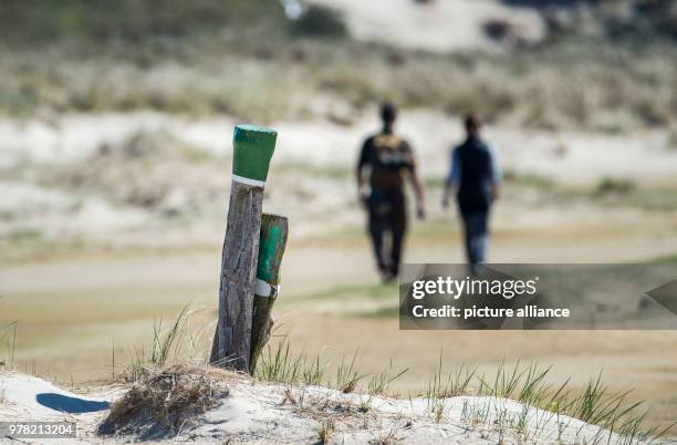 April 2018, Germany, Norderney: People hike along the path leading to the wreck at the east end of the island. Photo: Lino Mirgeler/dpa