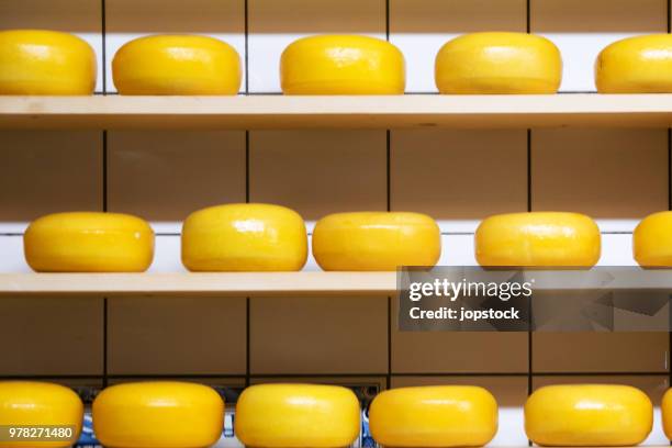 stack of gouda cheese - gouda stock pictures, royalty-free photos & images