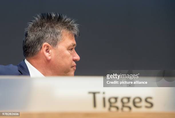 Uwe Tigges, CEO of energy company Innogy, attends the company's general meeting in Essen, Germany, 24 April 2018. Photo: Bernd Thissen/dpa