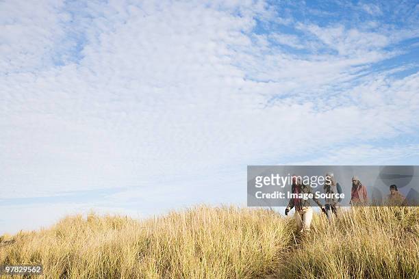 female friends walking in marram grass - cape cod bildbanksfoton och bilder