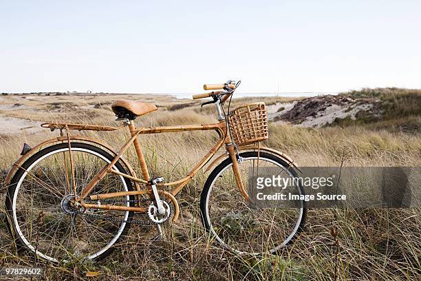 bicycle near sand dunes - marram grass stock pictures, royalty-free photos & images