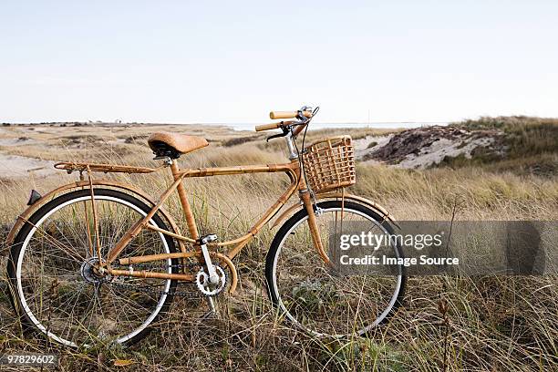 bicycle near sand dunes - marram grass stock pictures, royalty-free photos & images