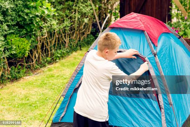 junge auf camping-ausflug richtet ein zelt für die nacht ganz alleine - mikkelwilliam stock-fotos und bilder