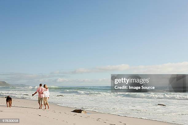 couple walking dog by the sea - distant stock pictures, royalty-free photos & images