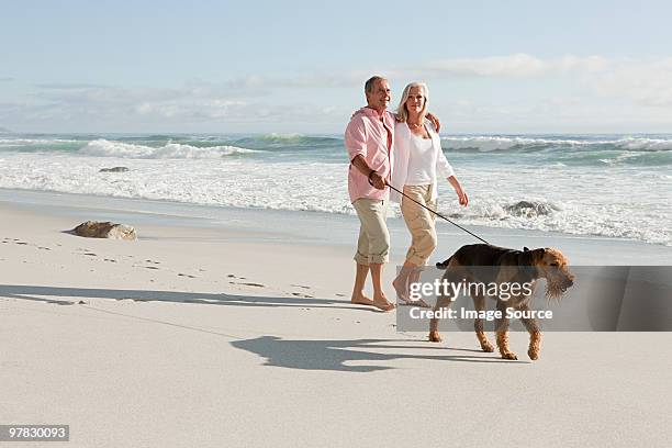 paar gehen hund am meer - beach walking stock-fotos und bilder