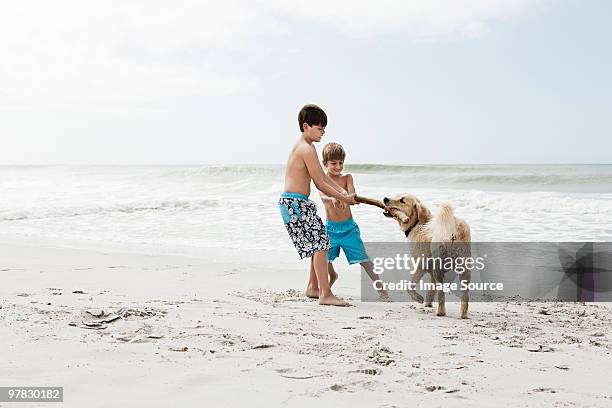 brothers and dog by the sea - dogs in sand stock pictures, royalty-free photos & images