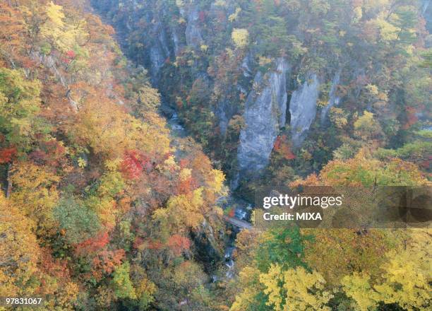 137 Naruko Stock Photos, High-Res Pictures, and Images - Getty Images