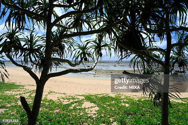 beach, iriomote island, taketomi, okinawa, japan - yaeyama islands stock pictures, royalty-free photos & images