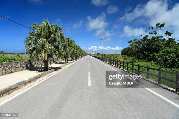 road, kuro island, taketomi, okinawa, japan - yaeyama islands stock pictures, royalty-free photos & images