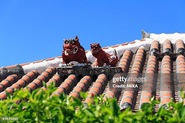 shisa, taketomi, okinawa, japan - yaeyama islands stock pictures, royalty-free photos & images