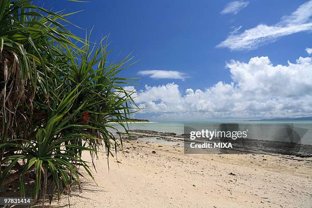 seaside, taketomi, okinawa, japan - yaeyama islands stock pictures, royalty-free photos & images