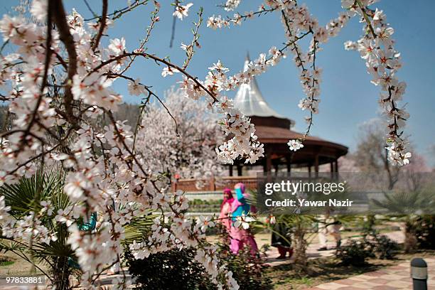 People walk around the almond garden in Baadam Vaer Park, on March 18, 2010 in Srinagar, the summer capital of Indian administered Kashmir, India....