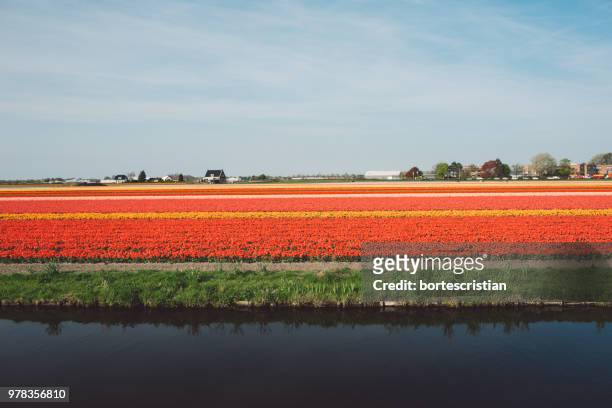 scenic view of field against sky - bortes stock pictures, royalty-free photos & images
