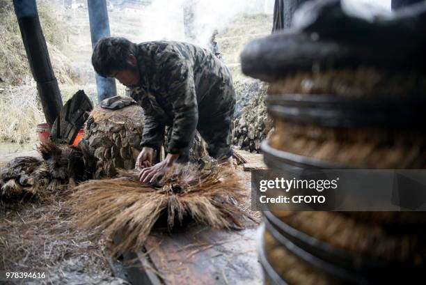 On February 1 Pearl Dong village, located in Congjiang County of Guizhou Qiandongnan Miao and Dong Autonomous Prefecture, the Dong compatriots were...