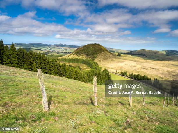 landscape of green grass for cows and, post of wood  with a barbed wire oxidized on terceira island in the azores islands, portugal. - closing gap stock pictures, royalty-free photos & images