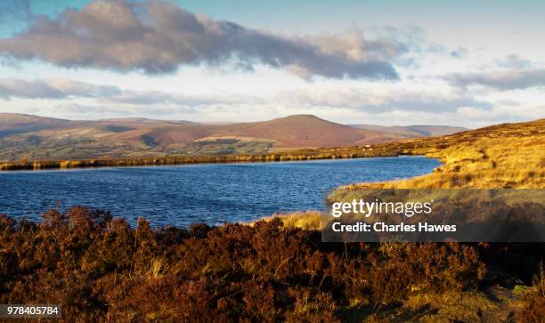 keeper’s pond, also known as pen-ffordd-goch pond or the forge pond, blaenavon world heritage site. image from the brecon beacons national park, south wales, uk - goch stock pictures, royalty-free photos & images